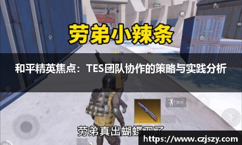 星空电竞和平精英焦点：TES团队协作的策略与实践分析